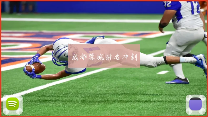 成都蓉城排名冲刺