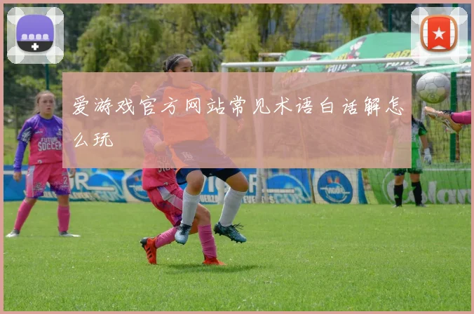 爱游戏官方网站常见术语白话解怎么玩