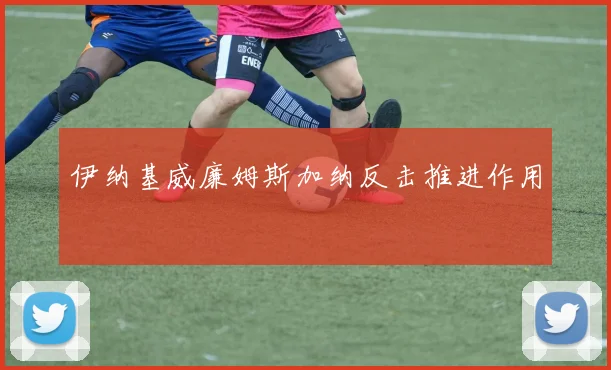 伊纳基威廉姆斯加纳反击推进作用