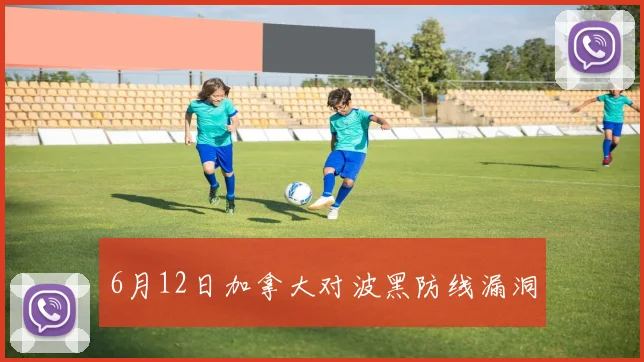 6月12日加拿大对波黑防线漏洞