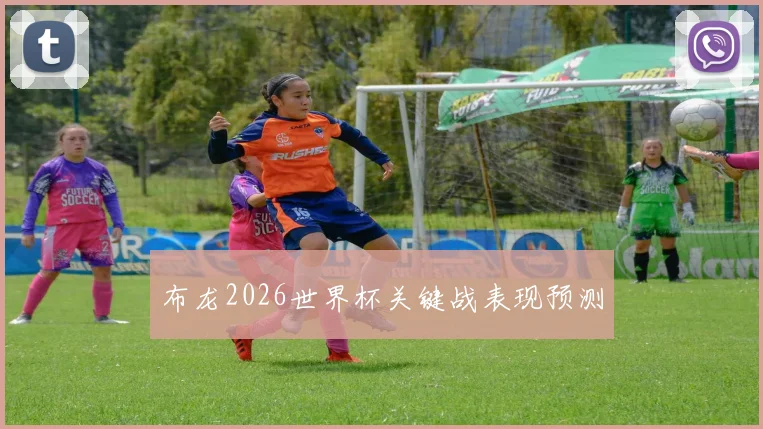 布龙2026世界杯关键战表现预测