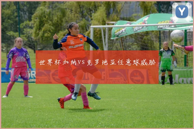 世界杯加纳vs克罗地亚任意球威胁