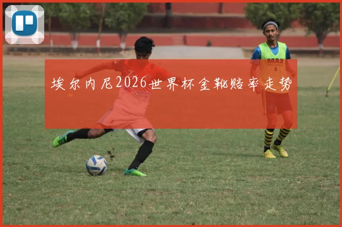 埃尔内尼2026世界杯金靴赔率走势