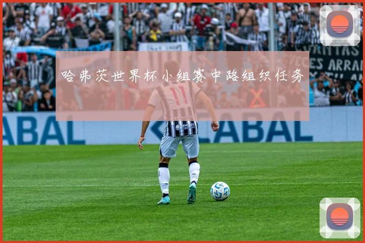 哈弗茨世界杯小组赛中路组织任务