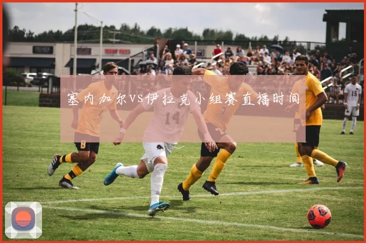 塞内加尔vs伊拉克小组赛直播时间
