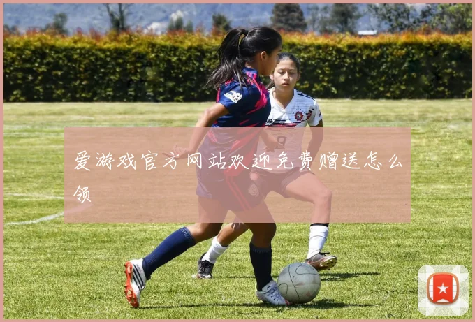 爱游戏官方网站欢迎免费赠送怎么领